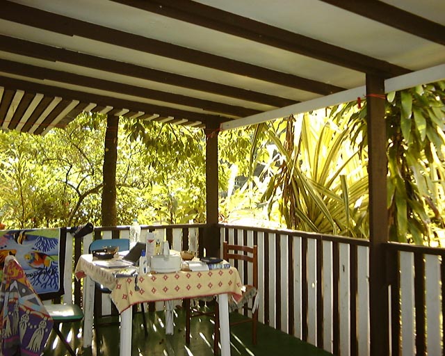 un bel exemple de jardin tropical